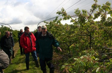 Charles Fryer reviewing the recent weather and prospects for a Cherry crop