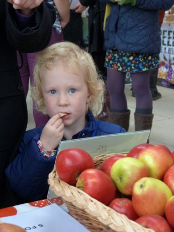 This young man is in serious mood as he tries an English Apple