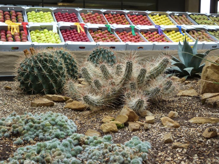 Jamie McGrorty of South East Farmer took some very 'artistic' pictures at The Festival of British Fruit at Wakehurst Place on Saturday & Sunday 20th & 21st October.