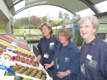 These three ladies, part of the Wakehurst Place team admiring our English Apple Display in the Millenium Seedbank Building