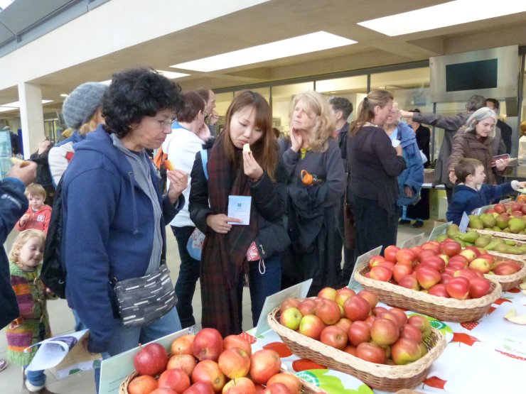 Visitors tasting and admiring our finest English Apples & Pears