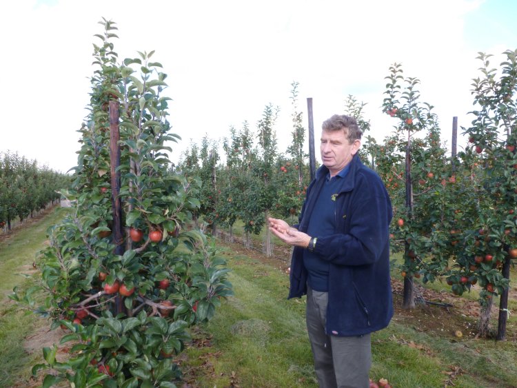 Nigel Bardsley explains the objective for growing Cameo on Fruit Walls