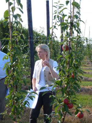 Sheena Levett discusses benefits of Bibaum with FAST members at Teynham Court Farm