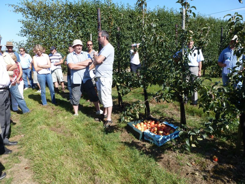 Visitors to Teynham Court Farm in the young ZARI orchard