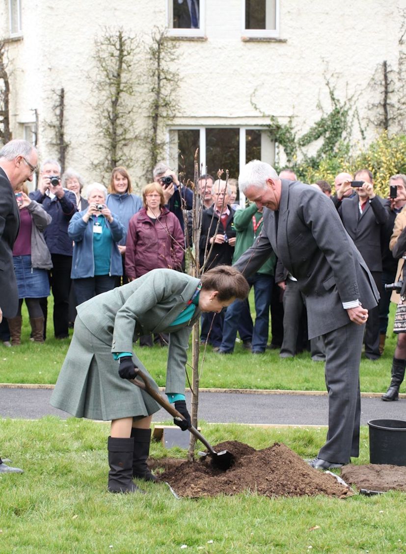 HRH The Princess Royal Plants a Sorbus hupehensis 'Pink Pagoda' in front of EMRA Staff.