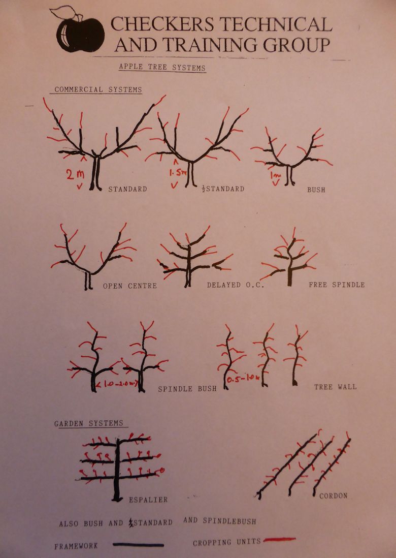 Tree systems past and present