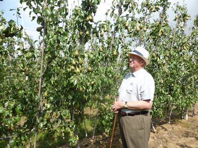 Tim Long an old friend of The English Apple Man and a 'doyen' among Pear Growers