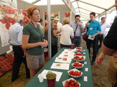 Tasting Strawberries on the Meiosis stand