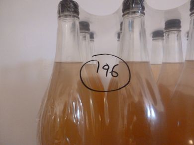 Each batch is clearly defined with each growers identity number